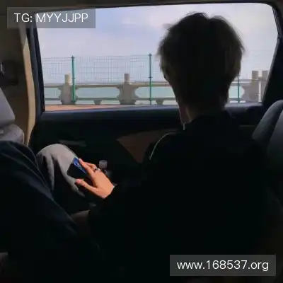 陶桐玫